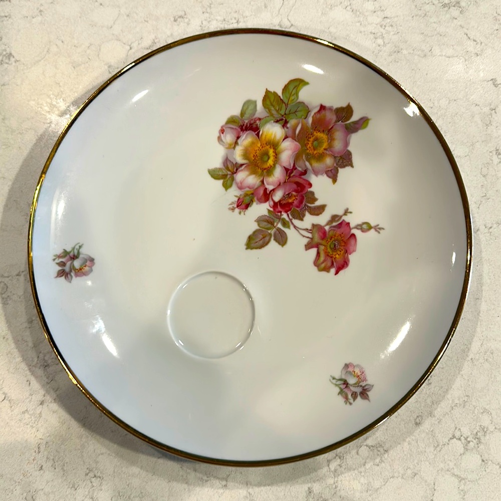 12 wild rose scalloped (coupe)